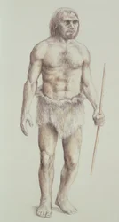 Neandertaler